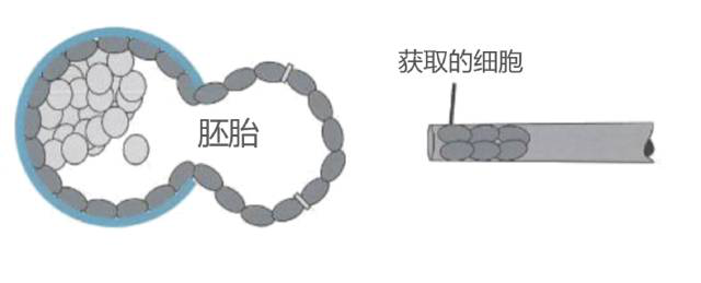 图片 1