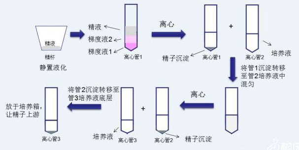 图片-2